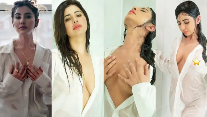 Punjabi Girl Meetii Kalher 5 BG BBC Sextapes Uncut Video